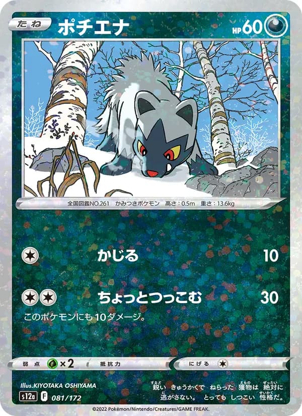 Poochyena 081/172