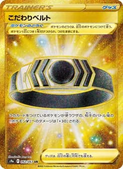 Choice Belt