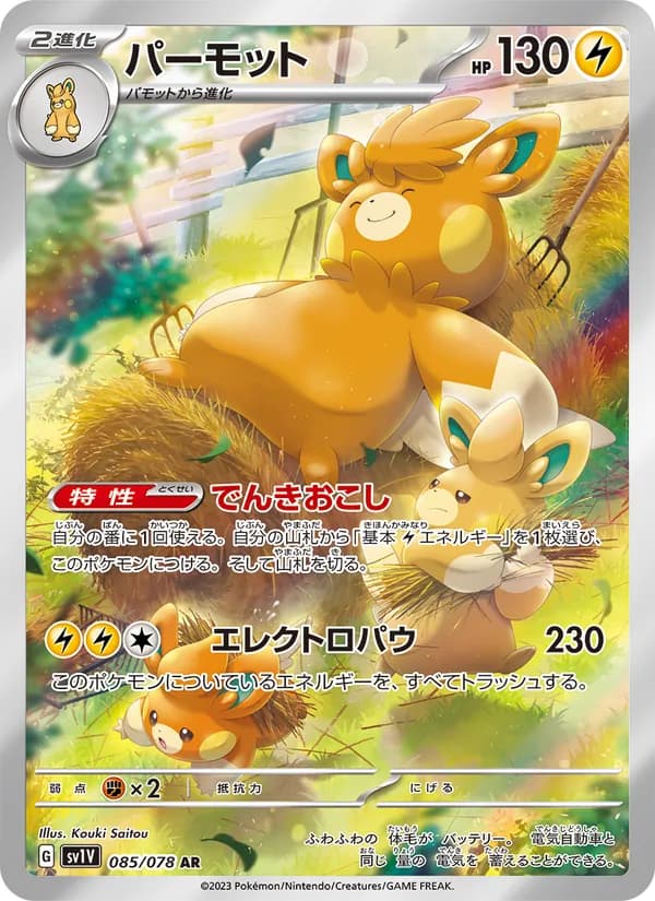 Pawmot 085/78