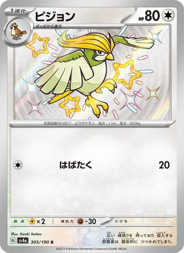 Pidgeotto 305/190
