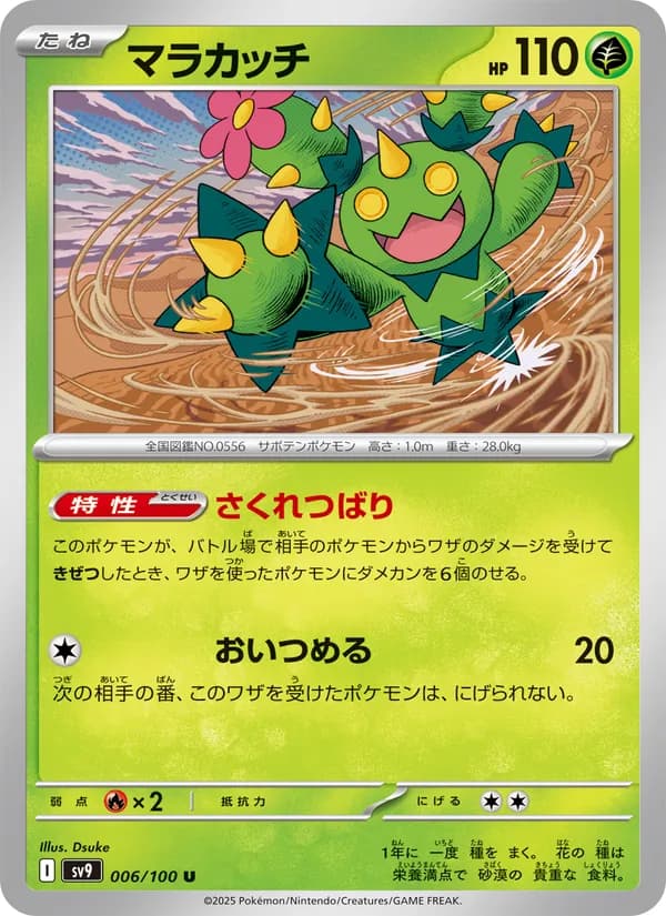 Maractus 006/100