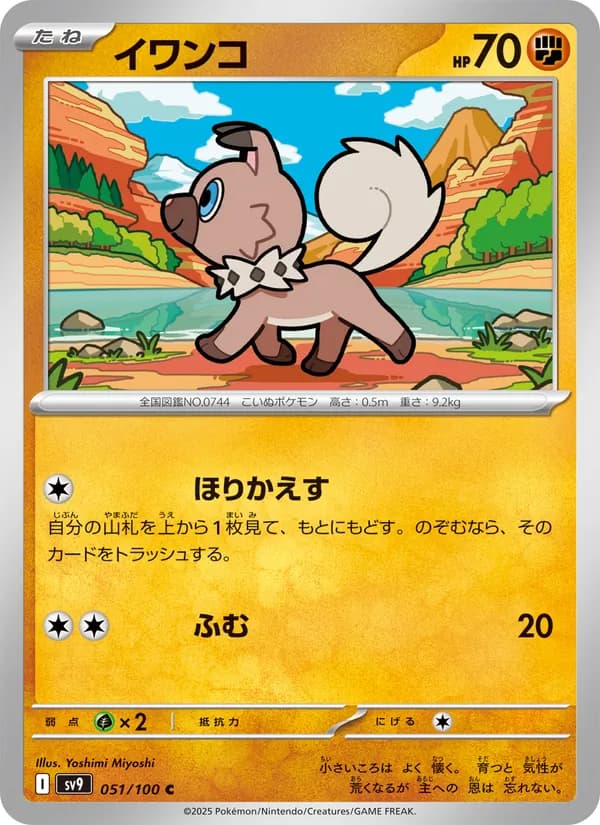 Rockruff 051/100