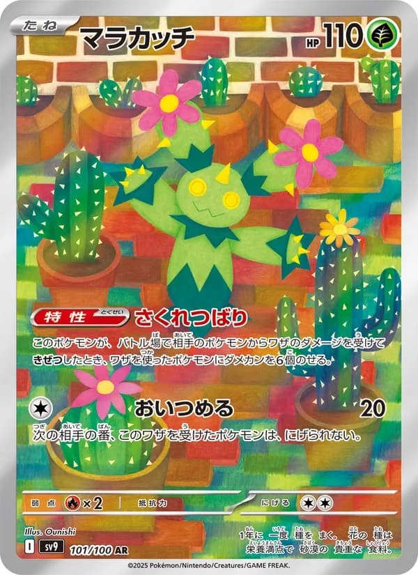 Maractus 101/100