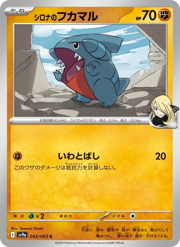 Gible 042/63
