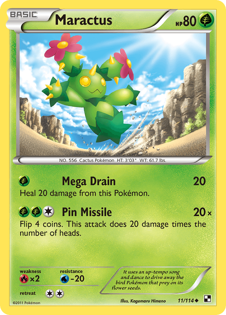 Maractus 11/114