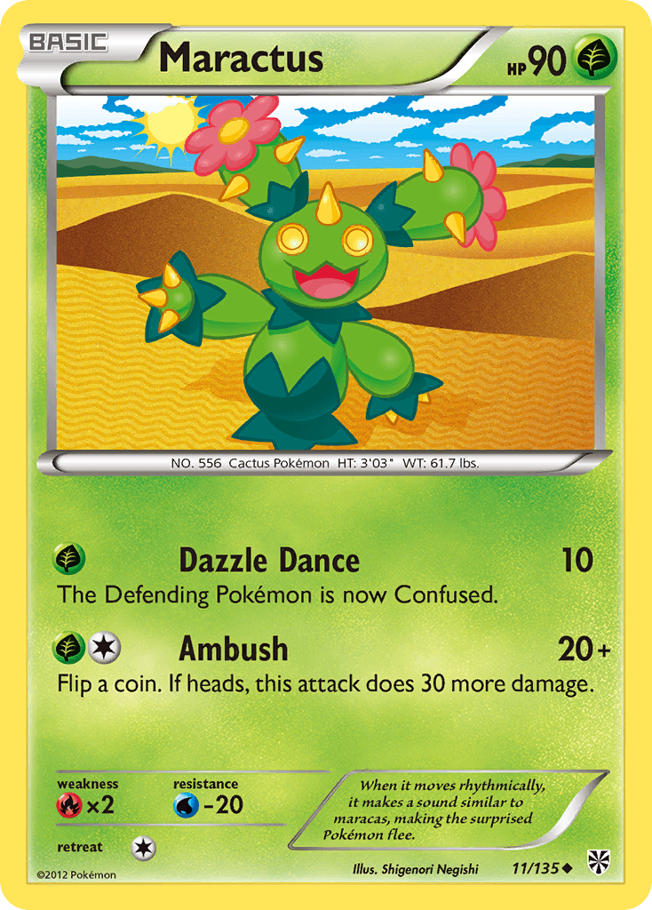 Maractus 11/135