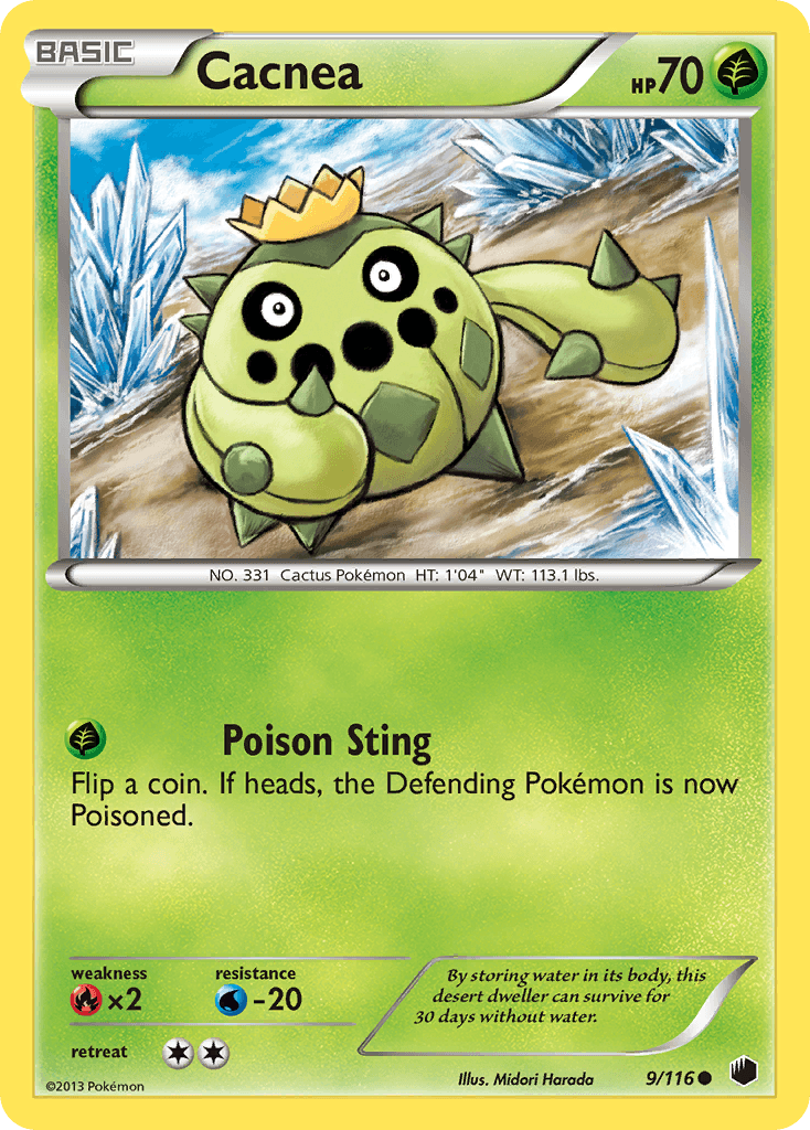 Cacnea 9/116