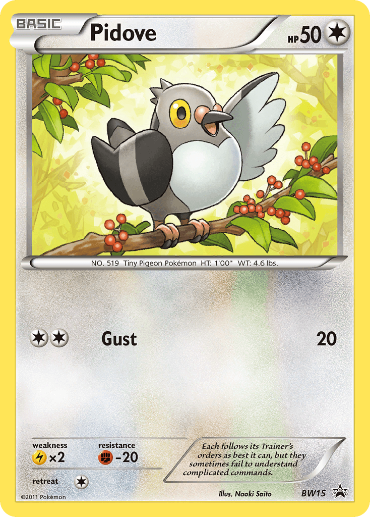 Pidove BW15/101