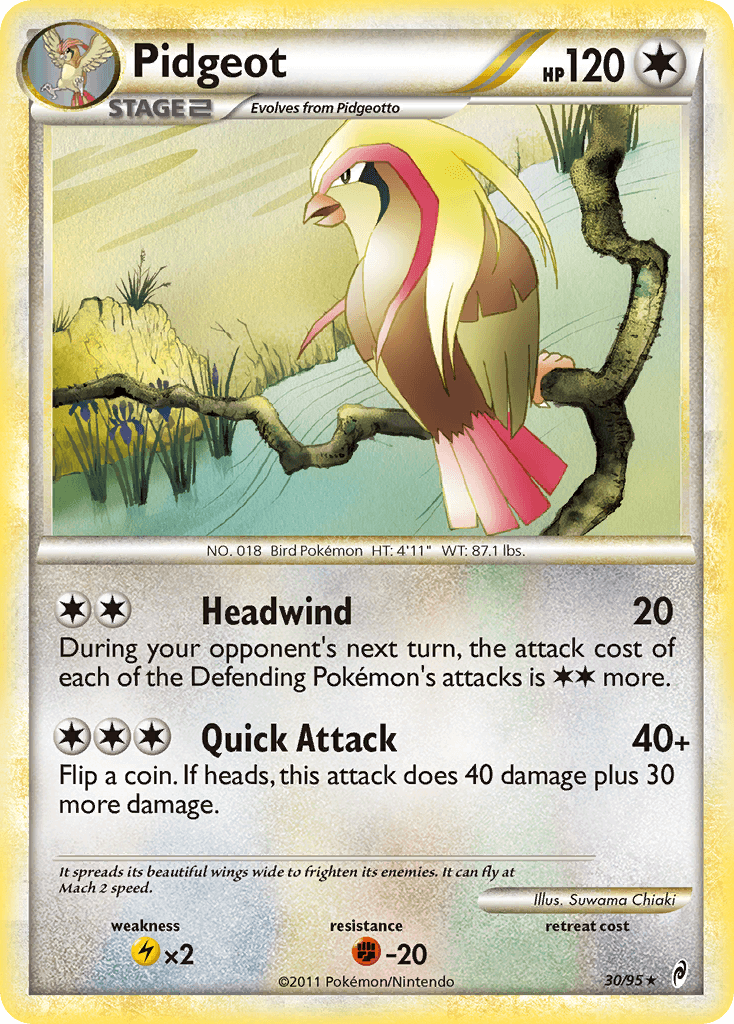 Pidgeot 30/95