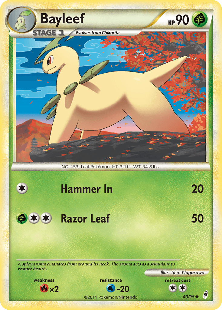 Bayleef 40/95