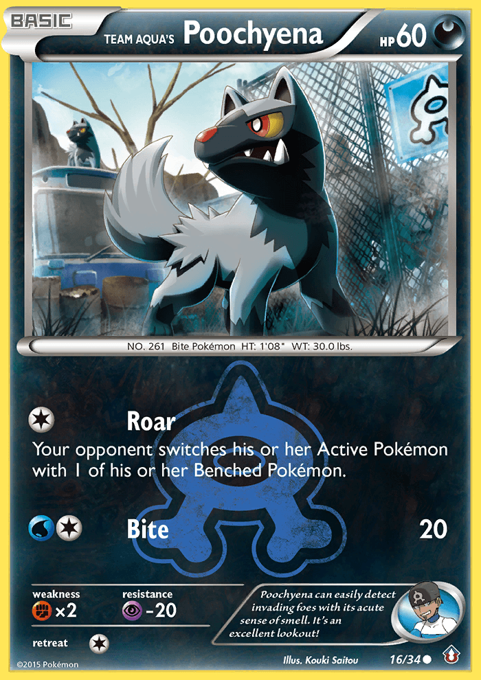Team Aqua's Poochyena 16/34