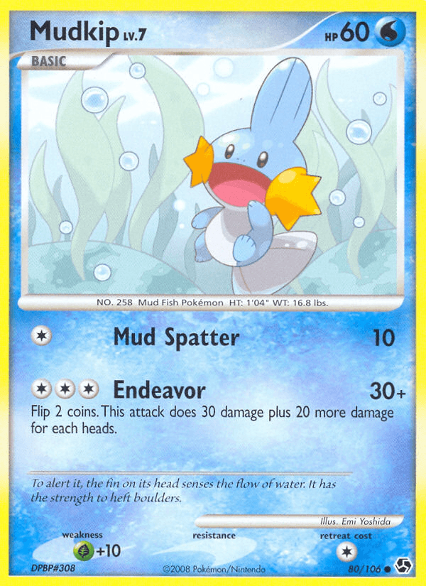 Mudkip 80/106