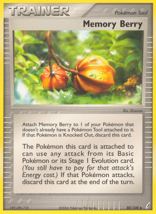 Memory Berry 80/100