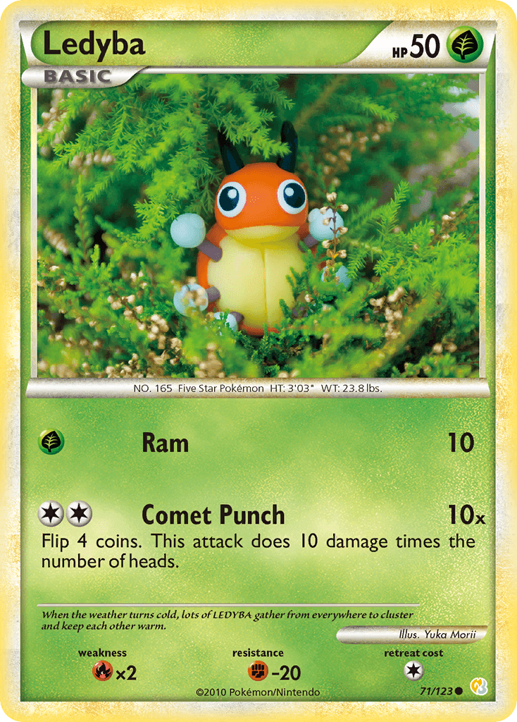 Ledyba 71/123