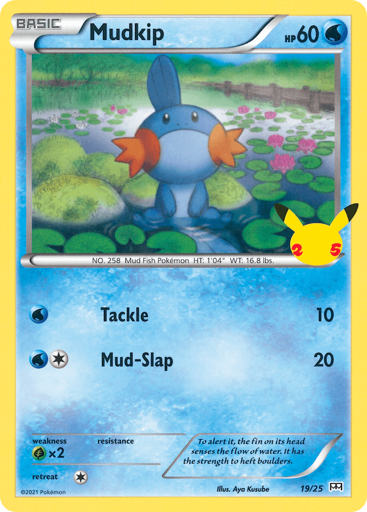 Mudkip 19/25