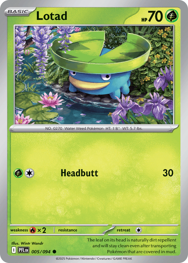 Lotad 5/94