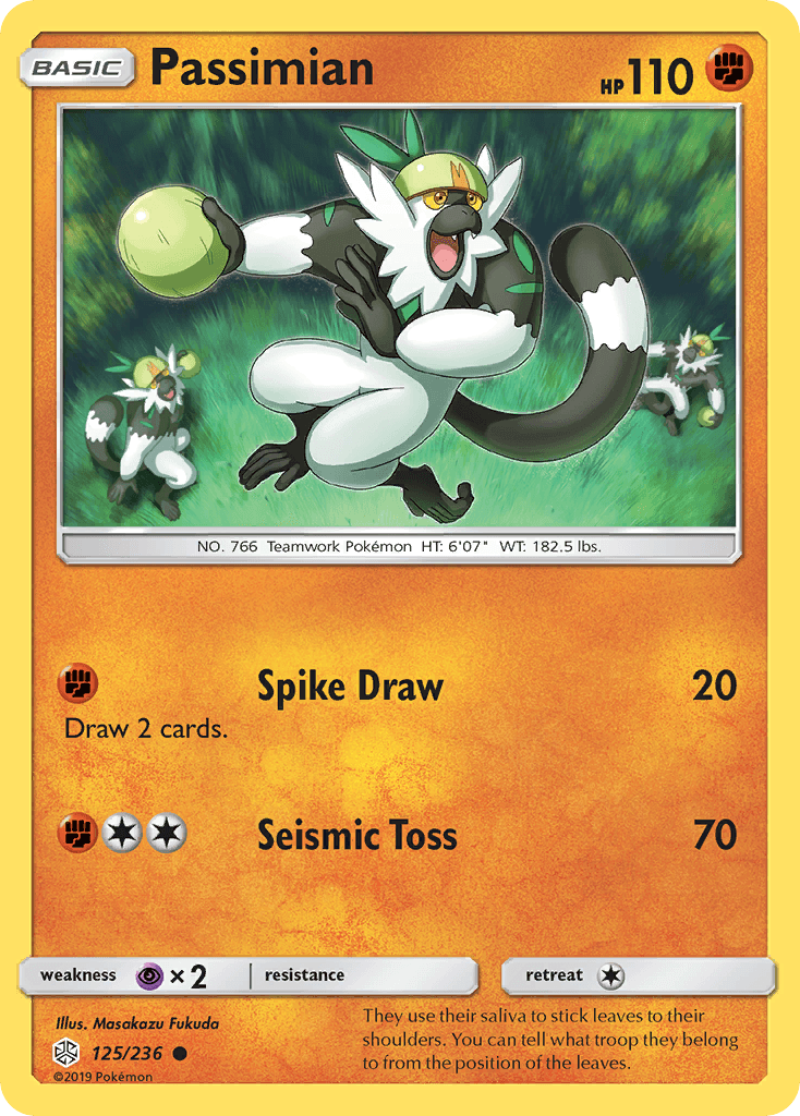 Passimian 125/236
