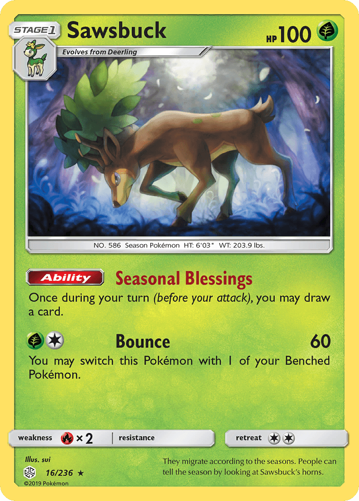 Sawsbuck 16/236