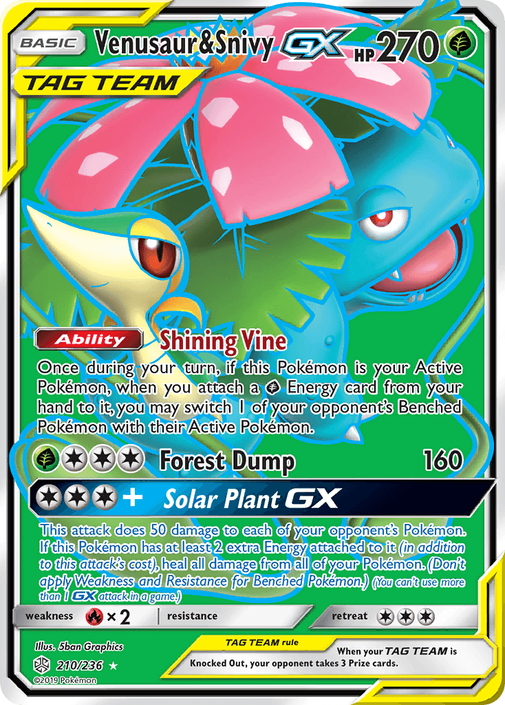 Venusaur & Snivy-GX 210/236