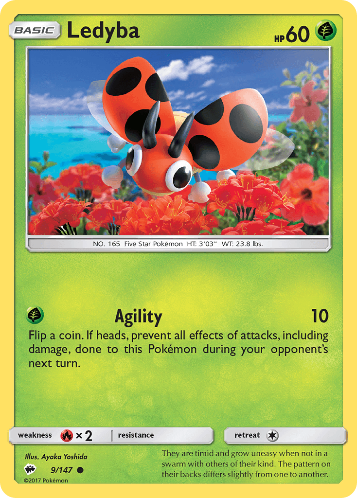 Ledyba 9/147