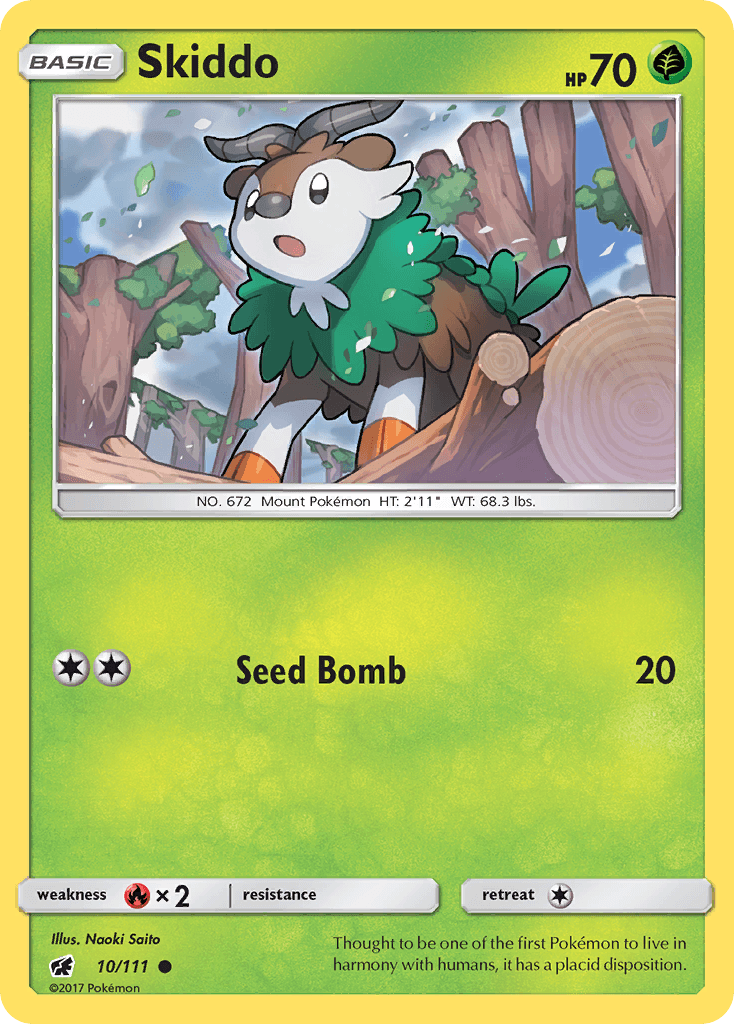 Skiddo 10/111