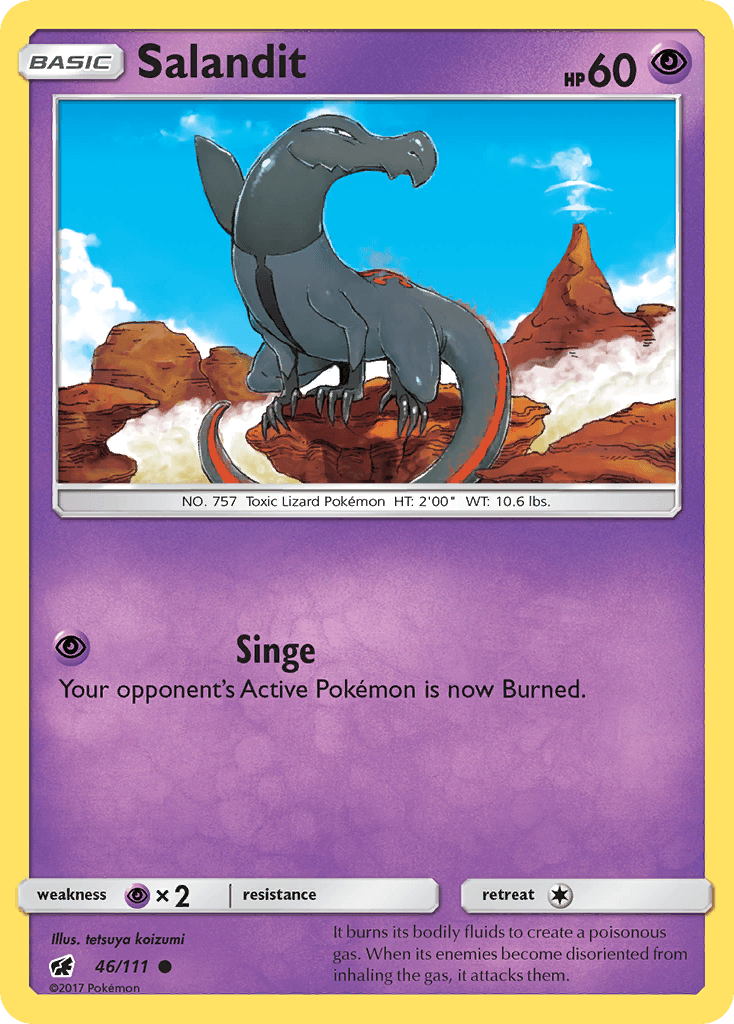 Salandit 46/111