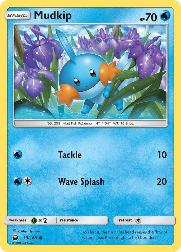 Mudkip 33/168