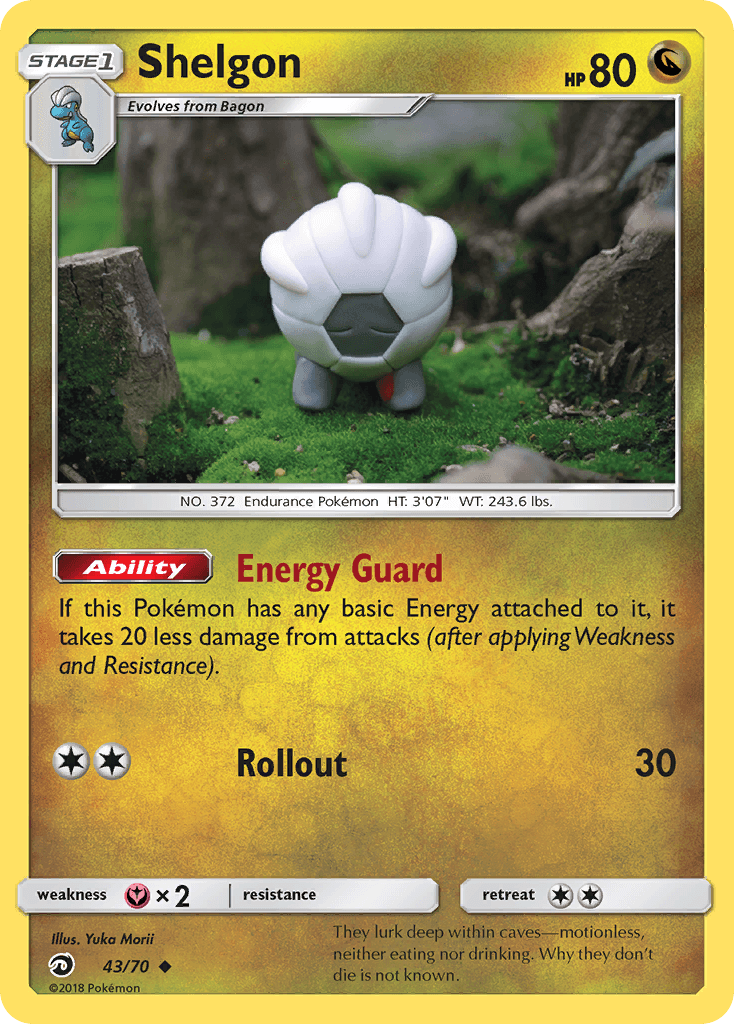 Shelgon 43/70