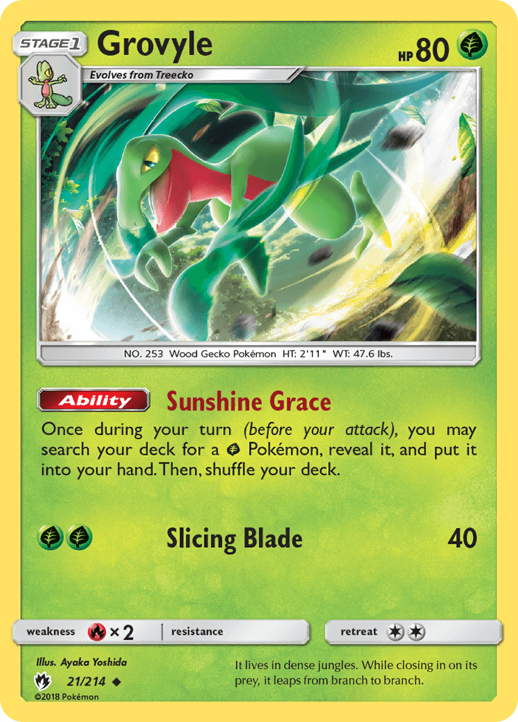 Grovyle 21/214