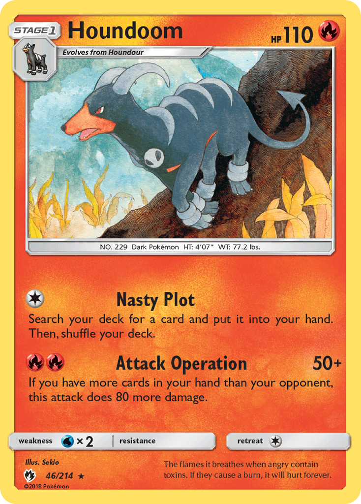 Houndoom 46/214
