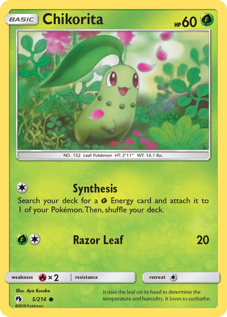 Chikorita 5/214