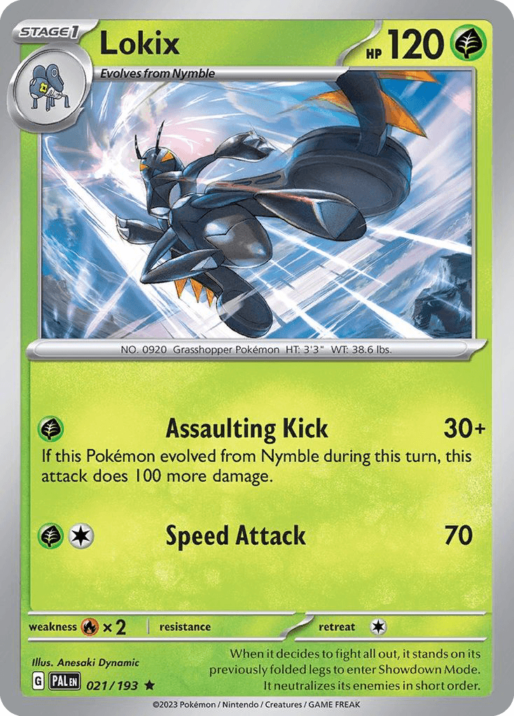 Lokix 21/193