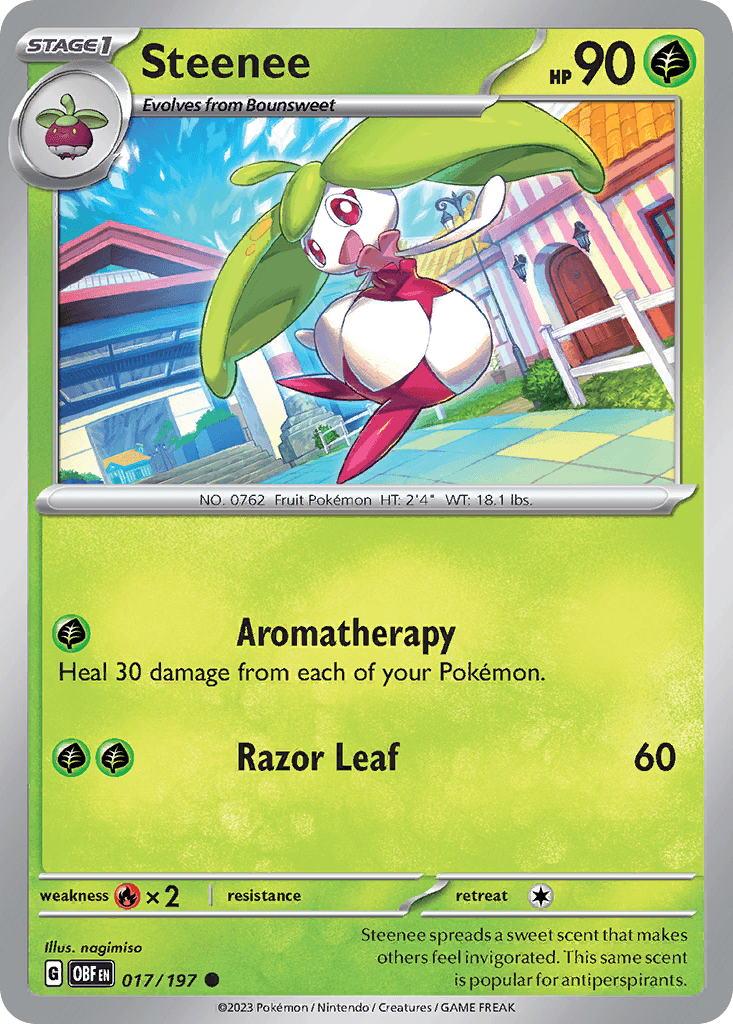 Steenee 17/197