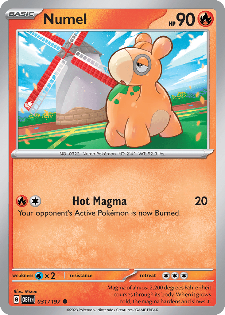 Numel 31/197