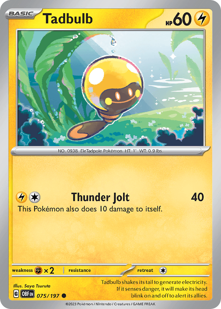 Tadbulb 75/197