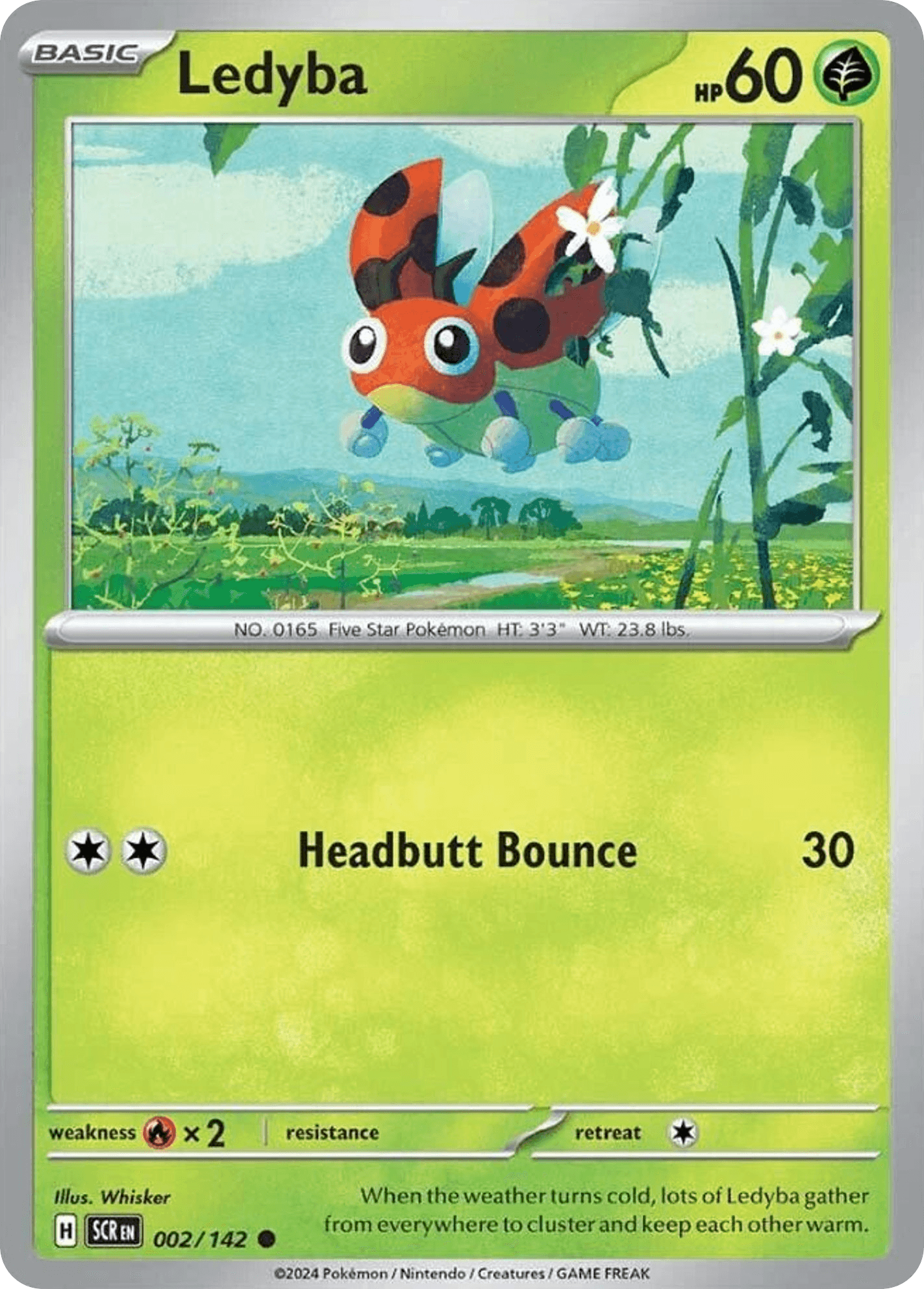 Ledyba 2/142