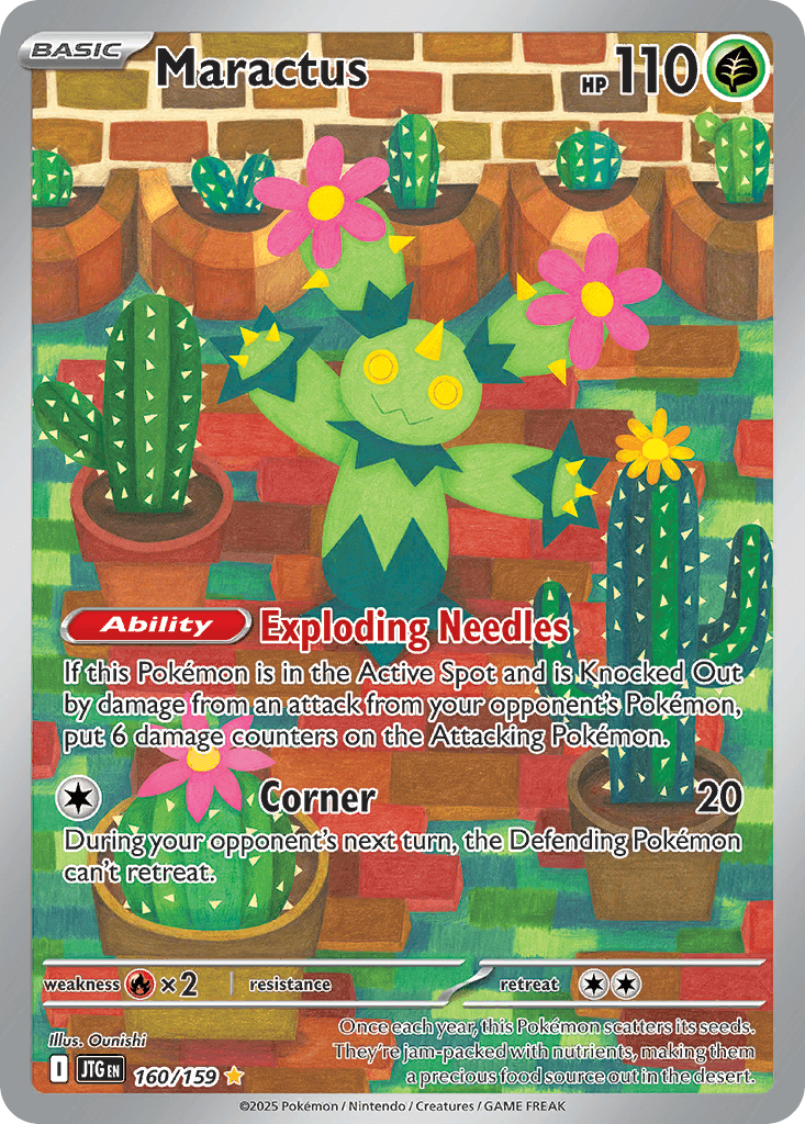 Maractus 160/159