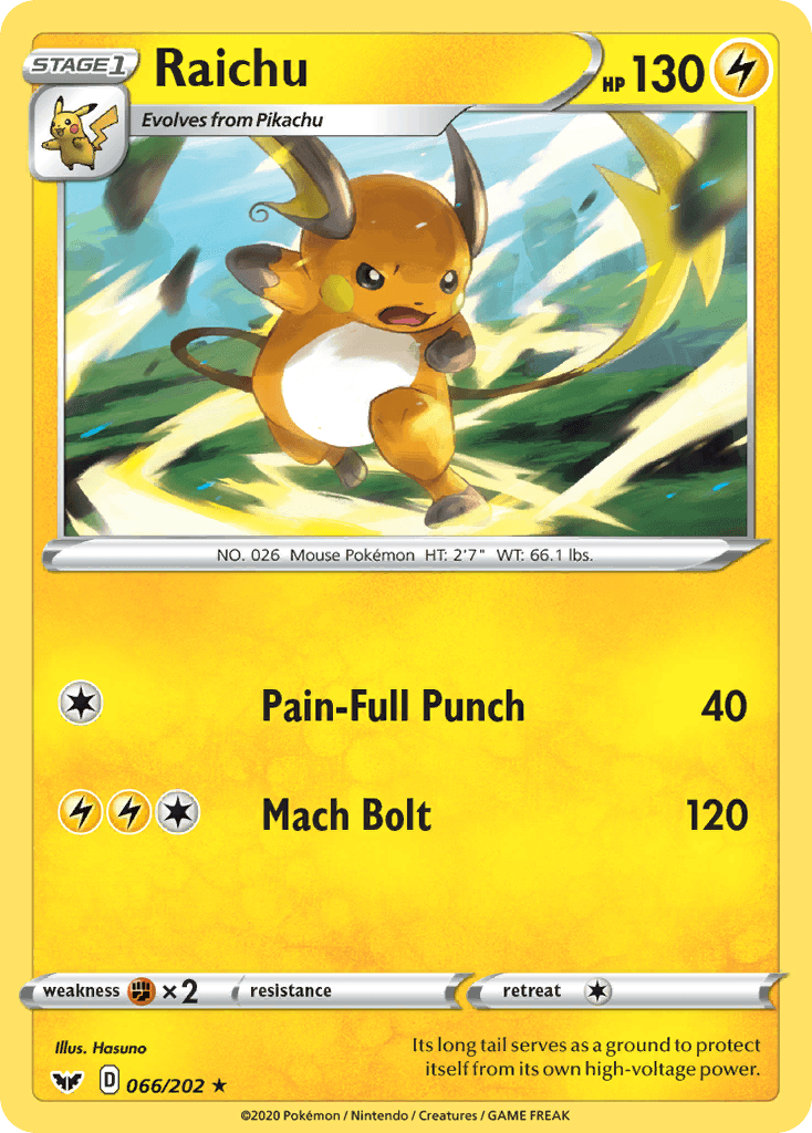 Raichu 66/202