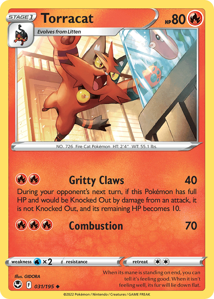 Torracat 31/195
