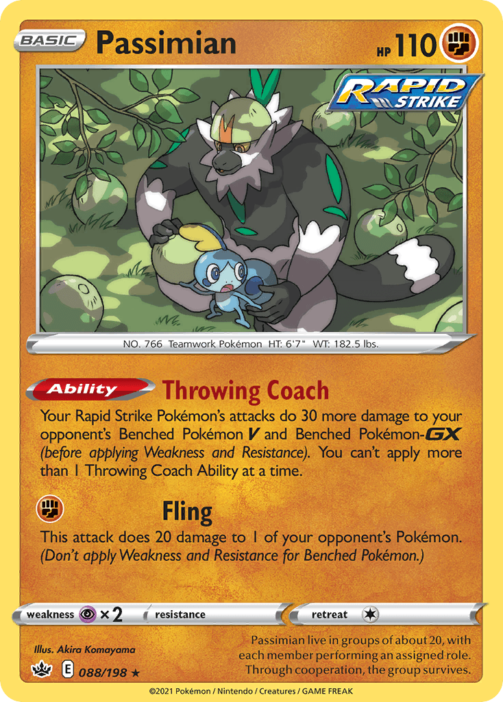 Passimian 88/198