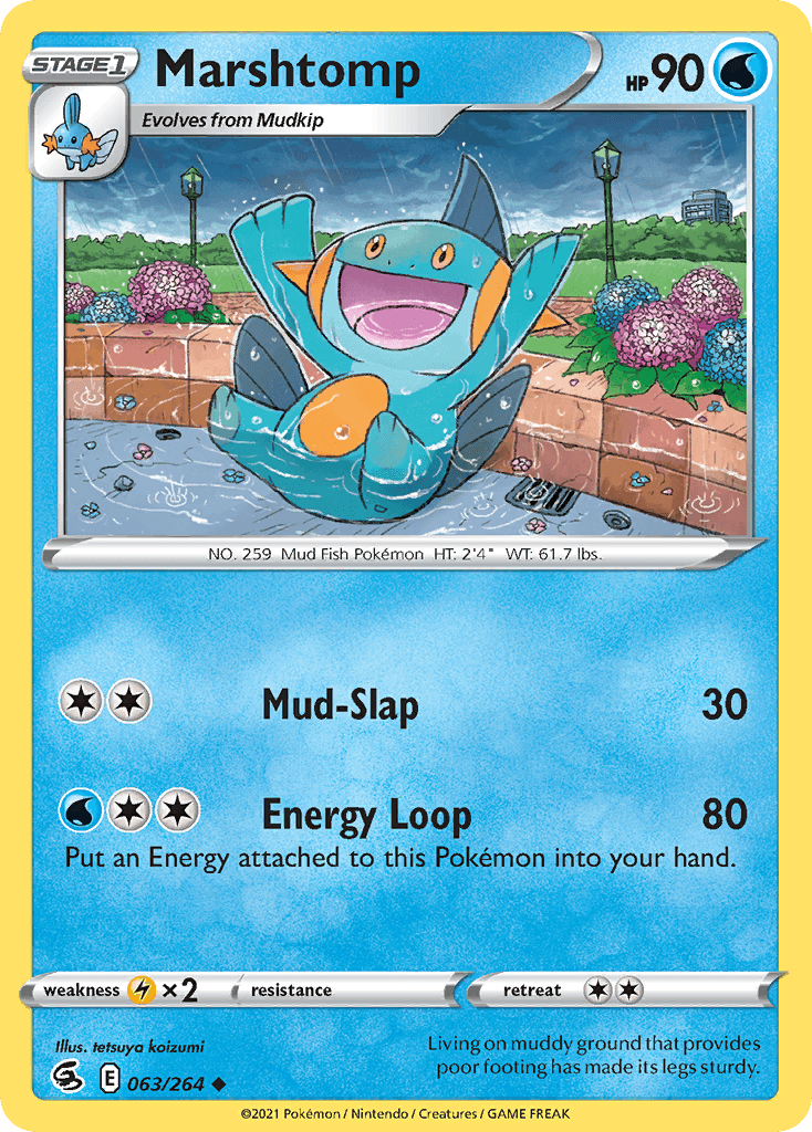 Marshtomp 63/264
