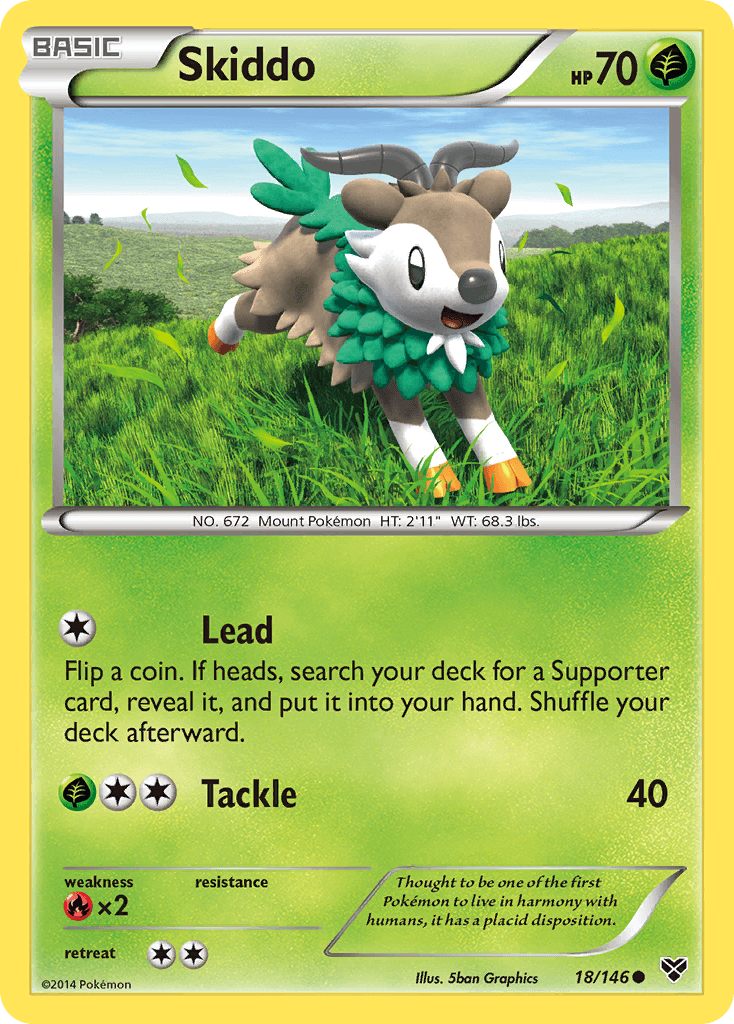 Skiddo 18/146