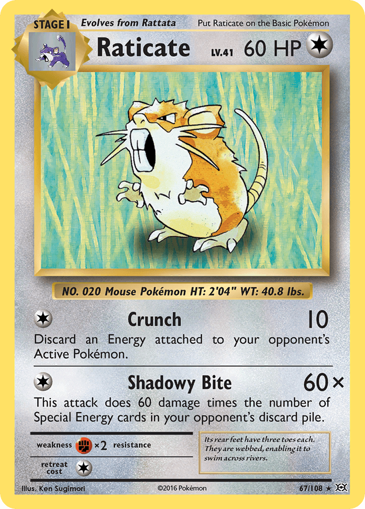 Raticate 67/108