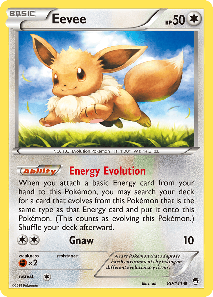 Eevee 80/111