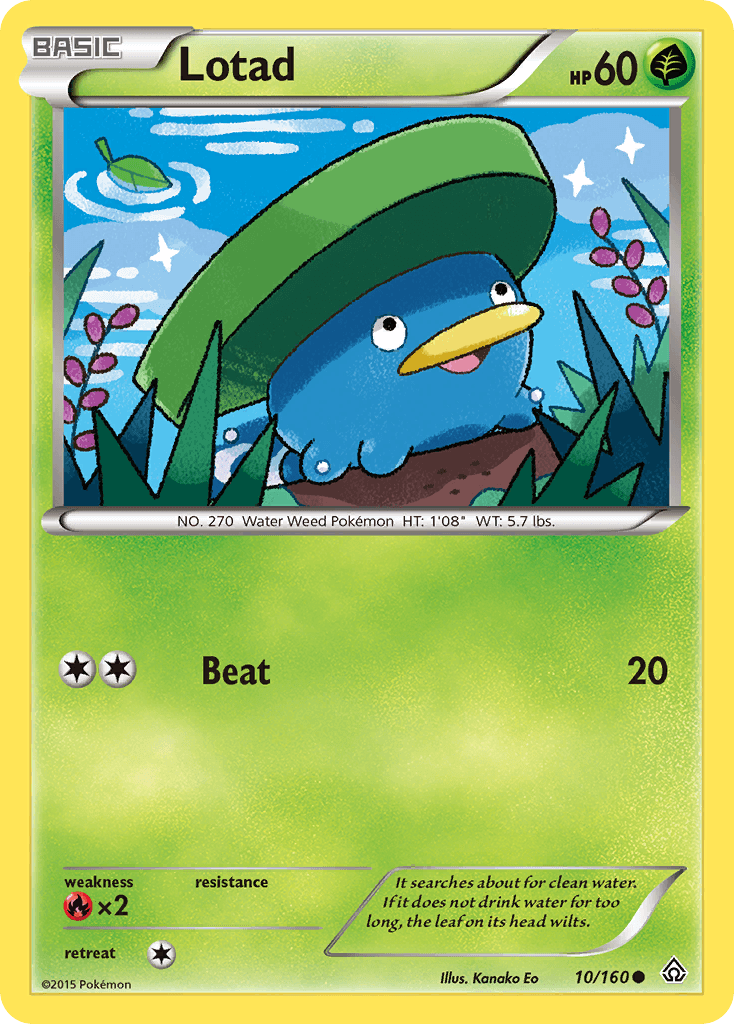 Lotad 10/160