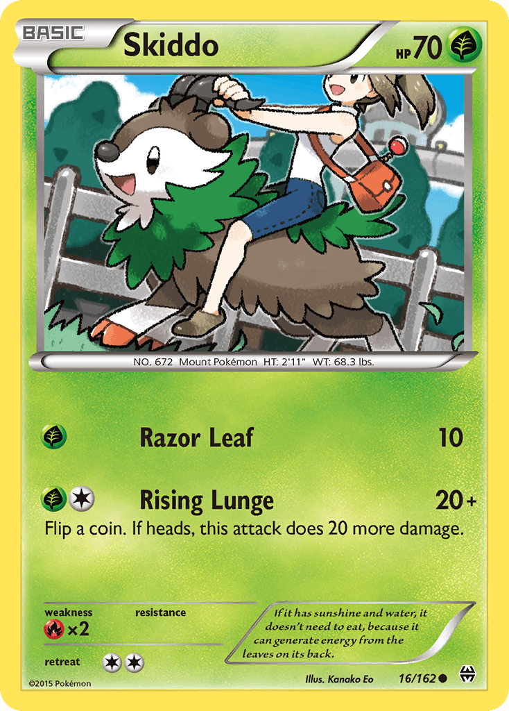Skiddo 16/162