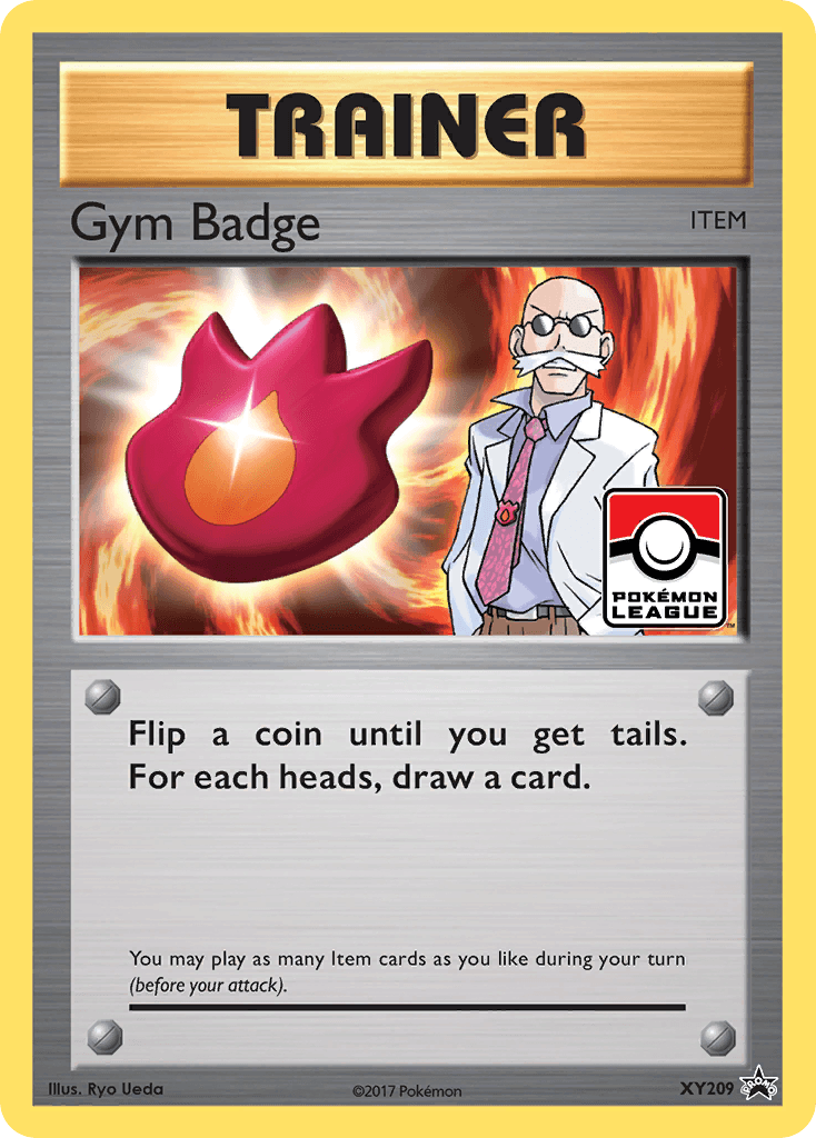 Gym Badge XY209/211