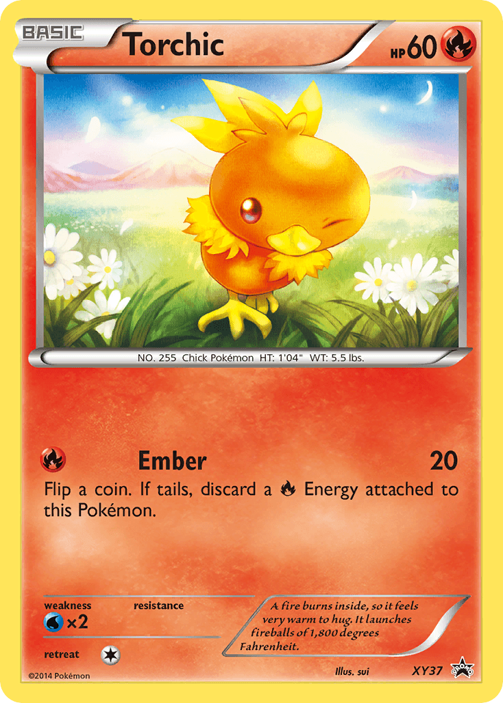 Torchic XY37/211