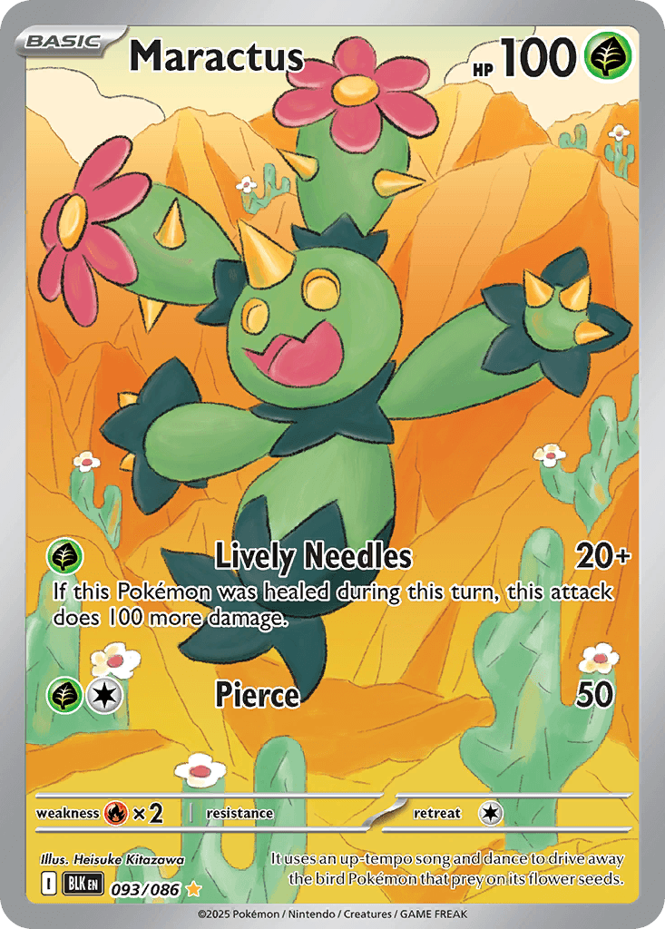 Maractus 93/86