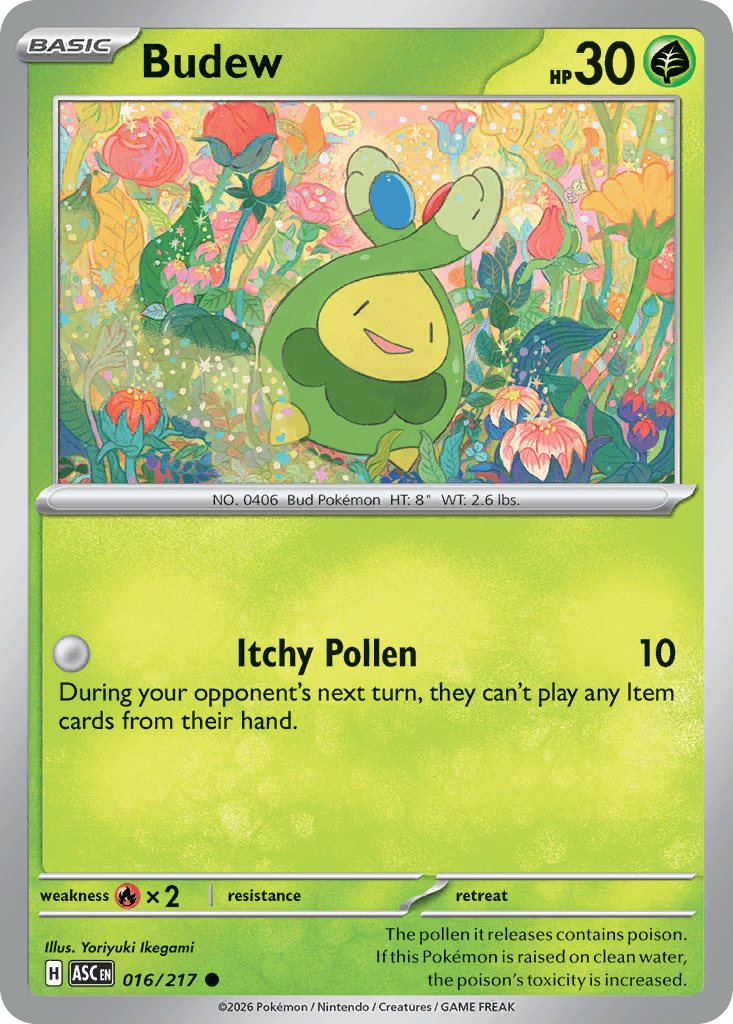 Budew 16/217